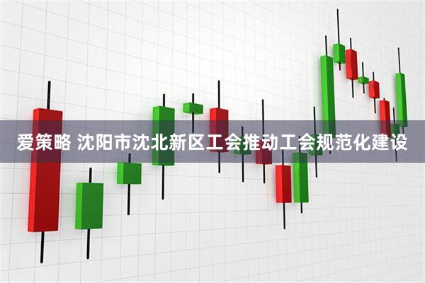 爱策略 沈阳市沈北新区工会推动工会规范化建设