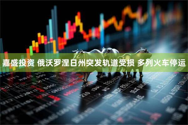 嘉盛投资 俄沃罗涅日州突发轨道受损 多列火车停运