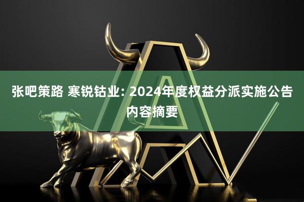 张吧策路 寒锐钴业: 2024年度权益分派实施公告内容摘要