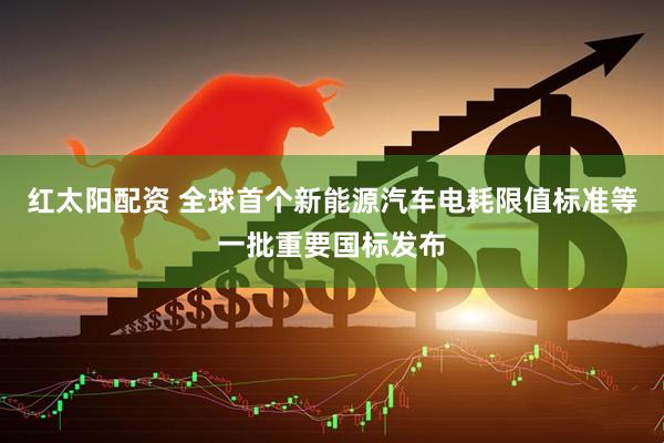 红太阳配资 全球首个新能源汽车电耗限值标准等一批重要国标发布
