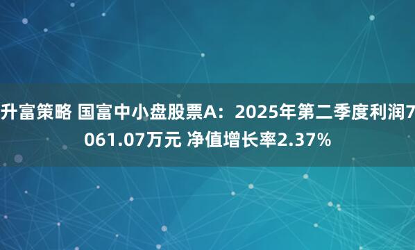升富策略 国富中小盘股票A：2025年第二季度利润7061.07万元 净值增长率2.37%