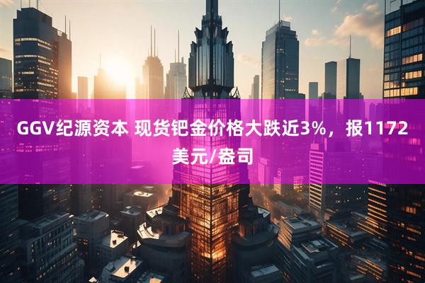 GGV纪源资本 现货钯金价格大跌近3%，报1172美元/盎司