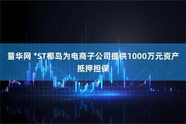 量华网 *ST椰岛为电商子公司提供1000万元资产抵押担保