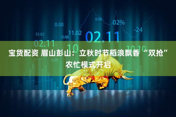宝货配资 眉山彭山：立秋时节稻浪飘香 “双抢”农忙模式开启