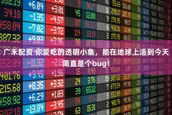 广禾配资 你爱吃的透明小鱼，能在地球上活到今天简直是个bug！