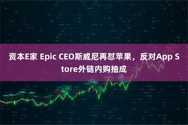 资本E家 Epic CEO斯威尼再怼苹果，反对App Store外链内购抽成