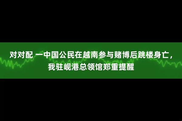 对对配 一中国公民在越南参与赌博后跳楼身亡，我驻岘港总领馆郑重提醒